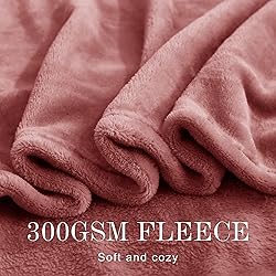 NICETOWN Fleece Throw Blanket for Couch, Fuzzy Cozy