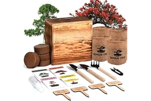 MEEKEAR 4 Bonsai Tree Seeds with Complete Growing Kit & Wooden Planter Box, Indoor Bonsai Tree Starter Kit, Great Potted Plants DIY Gift for Adults