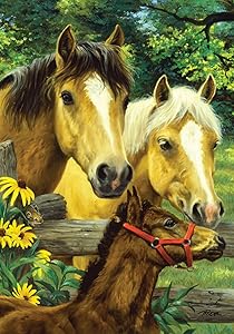 Toland Home Garden 119475 Horse Family 12.5 x 18 Inch Decorative, Garden Flag (12.5" x 18")