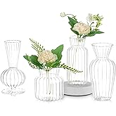 Modern Clear Glass Bud Vase Set: Glasseam 4Pcs Small Mini Flower Centerpieces Vases Handmade DecorativeCute Short Window Corner Home Decor for Wedding Reception Dining Table Single Rose Flowers