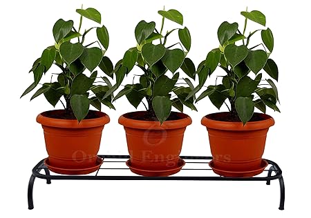 ORCHID ENGINEERS Metal Pot Stand, Black, 75 cm, 1 Piece