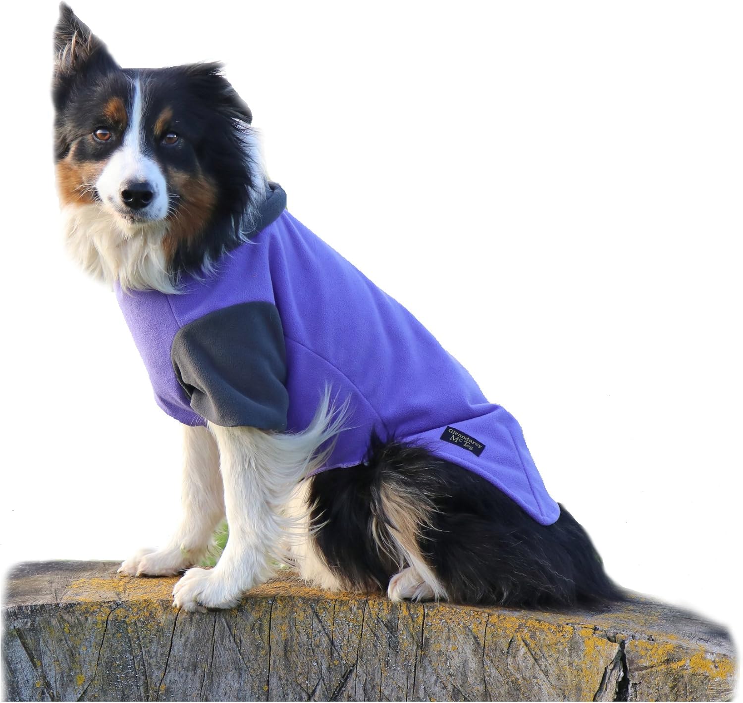 Glenndarcy dog fleece Clearance