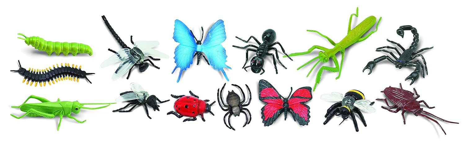 libri per imparare; national geographic;