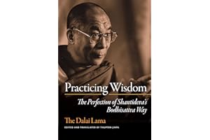 Practicing Wisdom: The Perfection of Shantideva's Bodhisattva Way