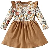 Toddler Baby Girl Fall Winter Dress Baby Toddler Girl Floral Tunic Dress Long Sleeves Casual Dress