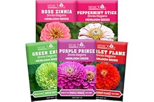 NatureZ Edge Zinnia Seeds for 2025 Planting Outdoors, Over 650 Flower Seeds, 5g, Non GMO Made in USA, Bulk Semillas De Flores para Sembrar, Variety Mix, Easy to Grow Zinnia Seed Mix