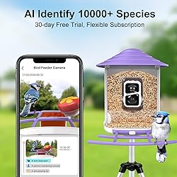 birdsnap® TUC- Smart Bird Feeder with Camera+Solar