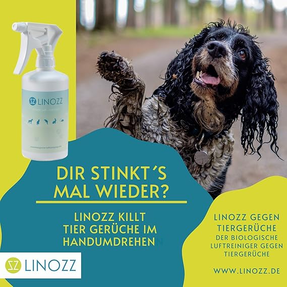 Air Purifier Odour Neutraliser Pet Linozz Organic Air Cleaner 100 Ml Amazon De Pet Supplies