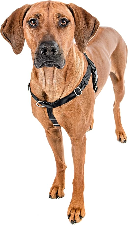 freedom harness 2 hounds