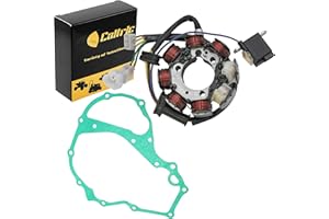 Caltric Stator and Gasket Compatible With Honda TRX250 TRX 250 Recon 250 2X4 1997 1998 1999 2000 2001