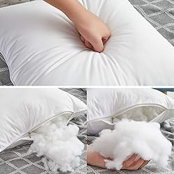 Oubonun 22 x 22 Throw Pillow Inserts