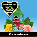 Miracle-Gro Rose & Shrub Concentrated Liquid Plant Food 1 Litre view 6