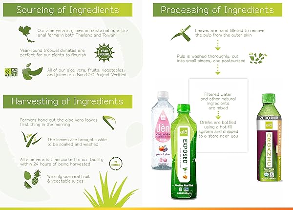 ALO ALOE VERA JUICE DRINK | SPRING – ALOE VERA + MIXED BERRY | 16.9 FL OZ, PACK OF 12 | PLANT-BASED DRINK WITH REAL ALOE PULP