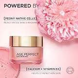 L’Oréal Paris Age Perfect Rosy Glow Day Cream 50ml view 2