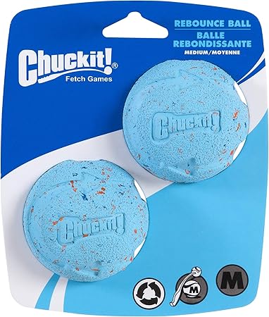 blue rubber dog ball