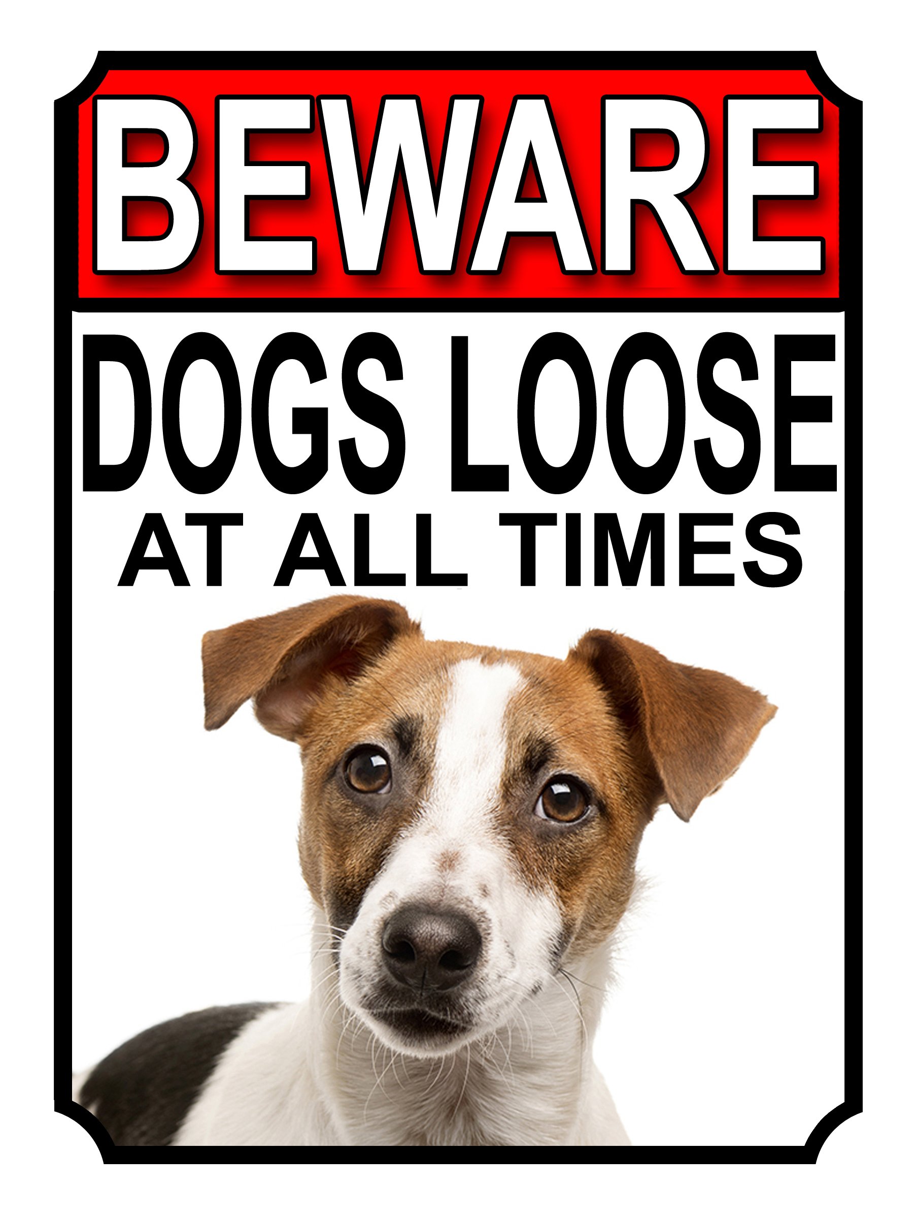 SHAWPRINT BEWARE DOGS LOOSE AT ALL TIMES METAL SIGN JACK RUSSEL 200MM X 150MM (1009H1)