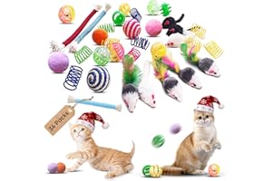YULOYI Cat Toys for Indoor Cats - 34 Packs Interactive Set with Colorful Springs, Mouse Toy, Catnip Ropes, Balls, Bells, and Sisal Ball for Kittens