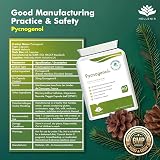 Hellenia Pycnogenol French Maritime Pine Bark Extract 60 Capsules 30mg vegan view 7
