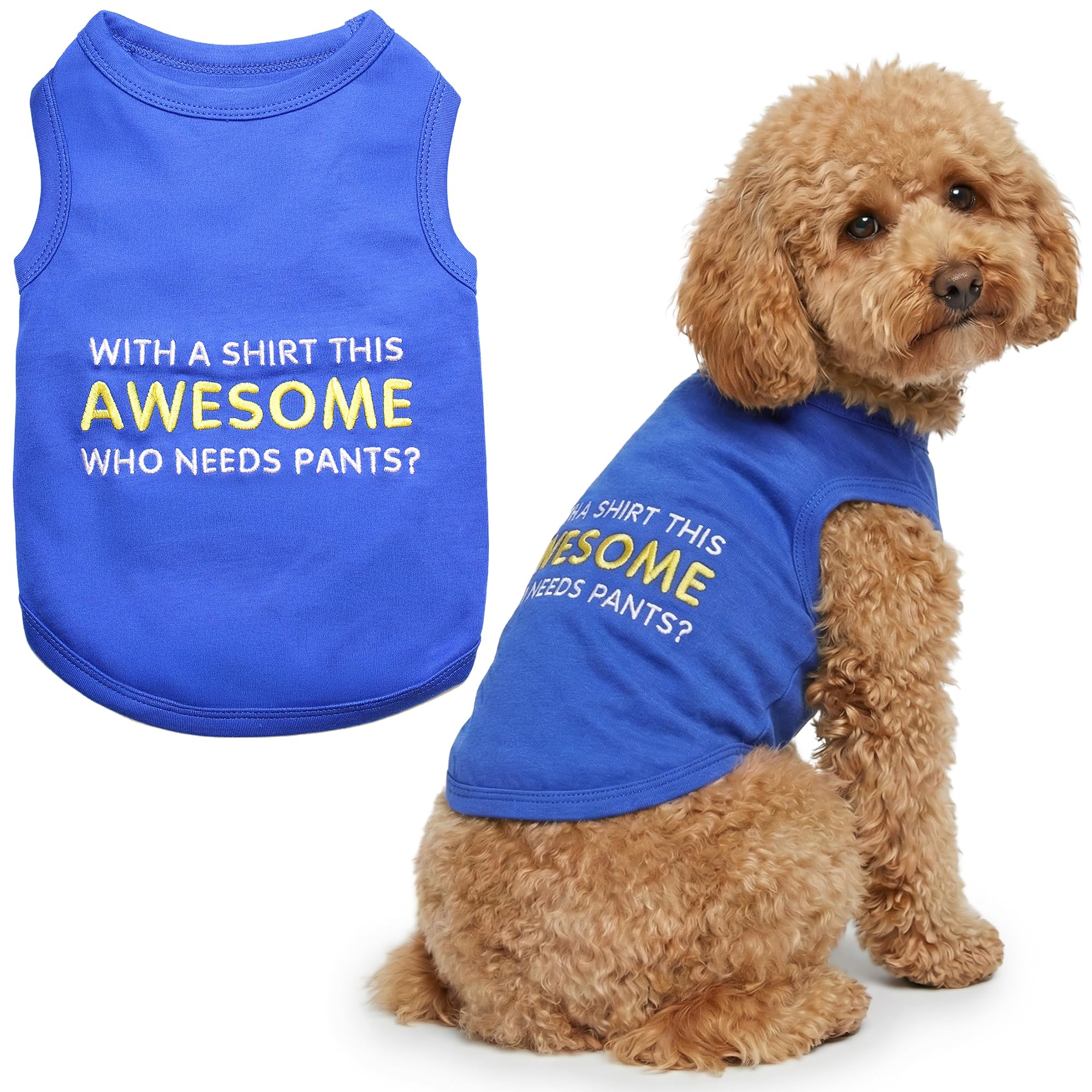 Parisian Pet Awesome Dog T-Shirt, Large