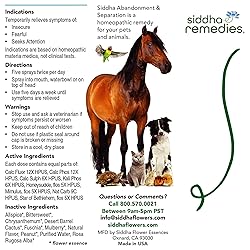 Siddha Remedies Abandonment & Separation for Pets