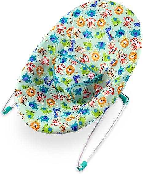 bouncer for 4 month old baby