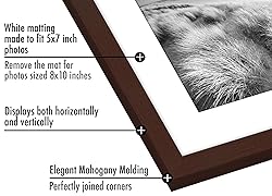 Americanflat 8x10 Picture Frame Set of 5 in