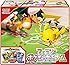 ポケモンカードゲーム サン&ムーン ファミリーポケモンカードゲーム