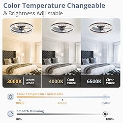 LEDIARY 20" Modern Ceiling Fans with Lights and