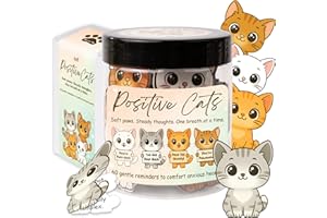Miarita Positive Cats Jar – 60 Affirmation Cards for Anxiety & Self Care, Gifts For People With Anxiety, Cat Gifts for Women, Teens & Men, Cats Lover Themed Gift
