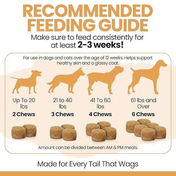 OMEGA 3 FISH OIL FOR DOGS – 180 SOFT CHEWS FOR ITCH RELIEF, SHEDDING & HOT SPOTS – SKIN AND COAT SUPPLEMENT – SALMON OIL, EPA & DHA – ALLERGY CHEWS – MADE IN USA – CHEW + HEAL