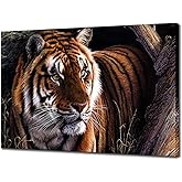 KLVOS Wild Animal Canvas Wall Art A Ferocity Royal Bengal Tiger Pictures for Wall Painting Print on Canvas Framed Contemporary Art for Men Boy Bedroom Home Modern Decoration 24inch x 36inch