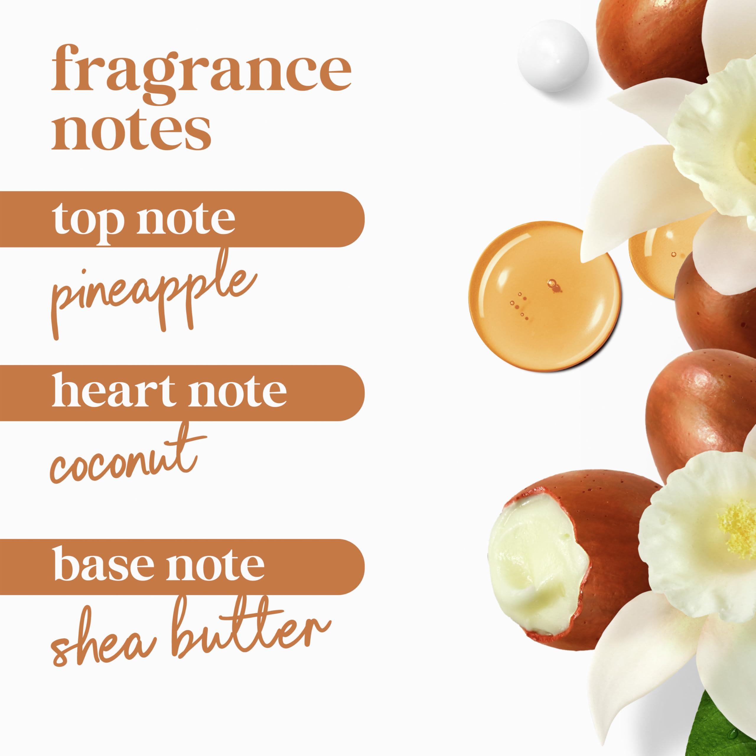 Dove Body Wash with Pump Pamper Shea Butter & Vanilla for 24hr Lotion-Soft Skin Moisturizing Skin Cleanser with No Sulfates No Parabens 30.6 oz