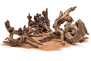 Ultum Nature Systems Driftwood - Amazon Drift Wood for Fish Tank, Planted Tank, Terriarium, Paludarium - Versatile Natural Driftwood Decor, Events Wood Centerpiece - Amazon Wood, M 9-16, 3 Pack