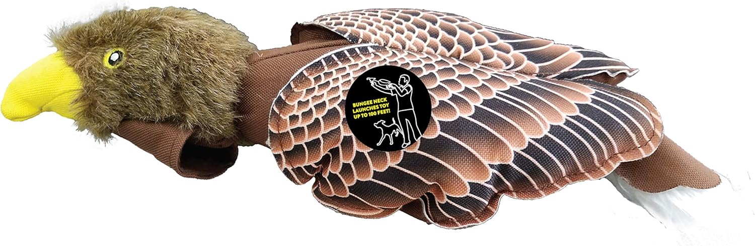 fly and fetch dog toy