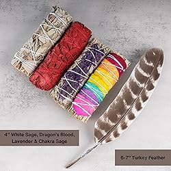 4 pc Sage Smudge Sticks with White Sage, Dragons