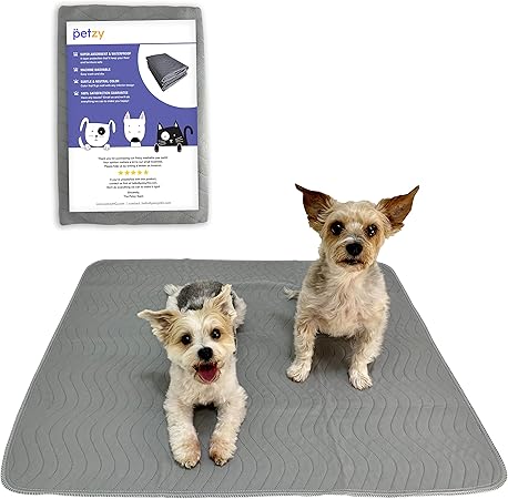 puppy ripping up pee pad