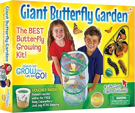 Insect Lore Giant Butterfly Garden With Voucher Toys Games Amazon Com