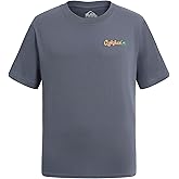 Quiksilver Boys Short Sleeve Logo Graphic T-Shirt, Soft & Comfortable, Regular Fit