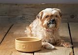 Mason Cash Cane Dog Bowl 18cm Stoneware 1.2 L Capacity Dishwasher Safe view 4