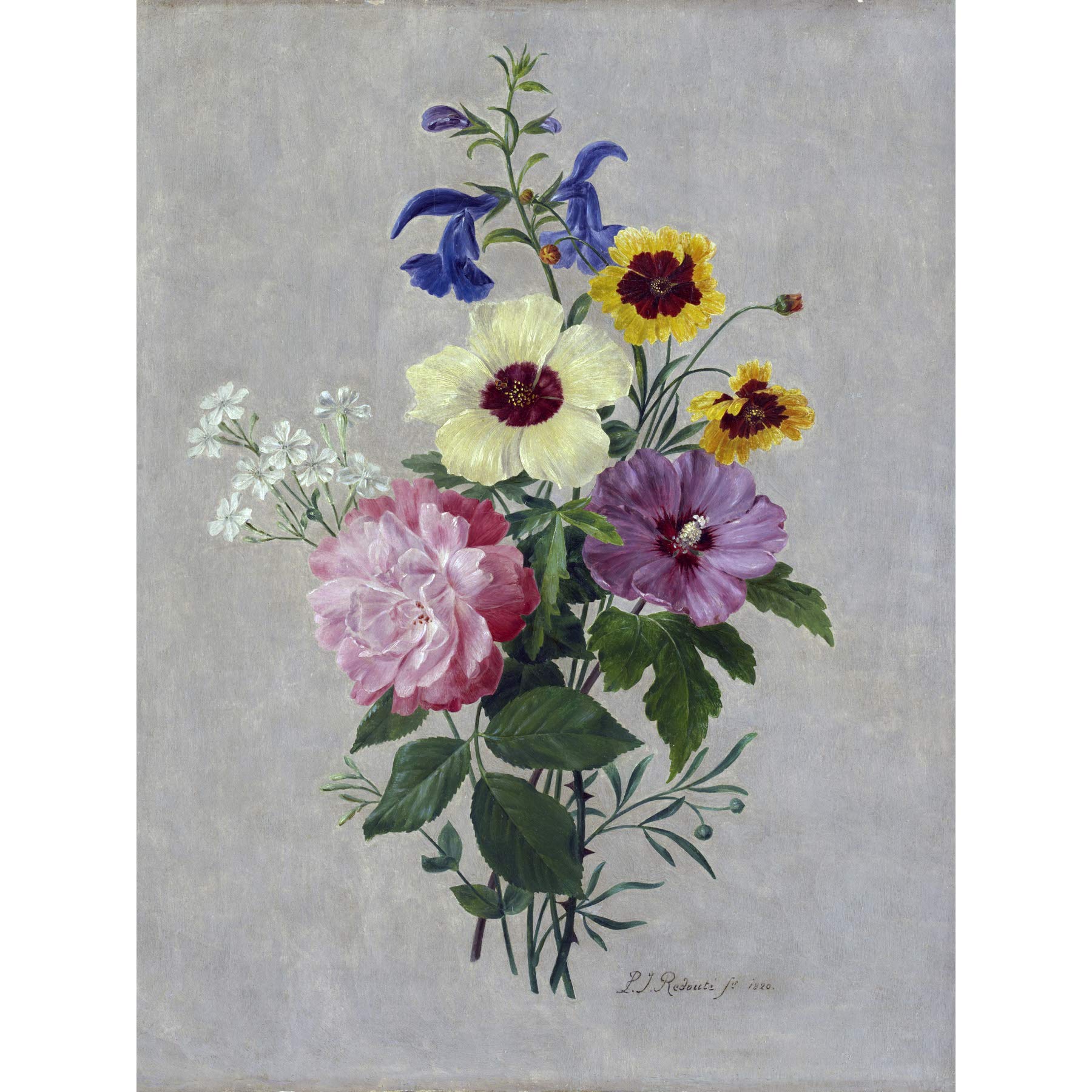 Artery8 Pierre Joseph Redoute Flowers 1820 Painting Large Wall Art Poster Print Thick Paper 18X24 Inch