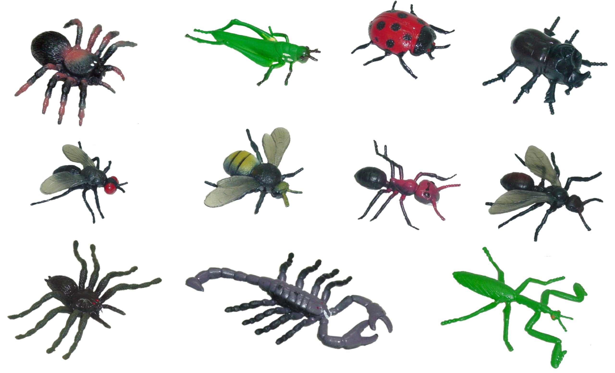 Miniland Miniland27480 Insect Figures (12-Piece)