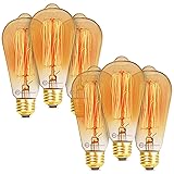 Basics Hardware Incandescent Edison Light Bulbs