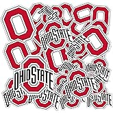 Desert Cactus The Ohio State University Sticker OSU Buckeyes Vinyl Decals Laptop Water Bottle Car Scrapbook Sheet T1 (Type 1-1)