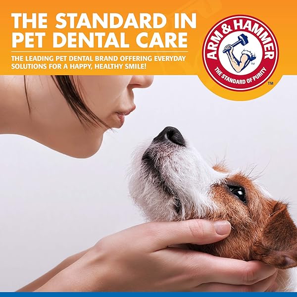 ARM & HAMMER DOG WATER ADDITIVE FOR DENTAL CARE – BAD BREATH ELIMINATOR FOR DOGS & DOG BREATH FRESHENER – DOG TOOTH PLAQUE CLEANER & DOG TARTAR REMOVER – 16 FL OZ DENTAL RINSE FOR DOGS – PACK OF 1