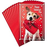 Hallmark Pack of Valentine's Day Cards, Dog with Box of Chocolates (10 Valentine's Day Cards with Envelopes)