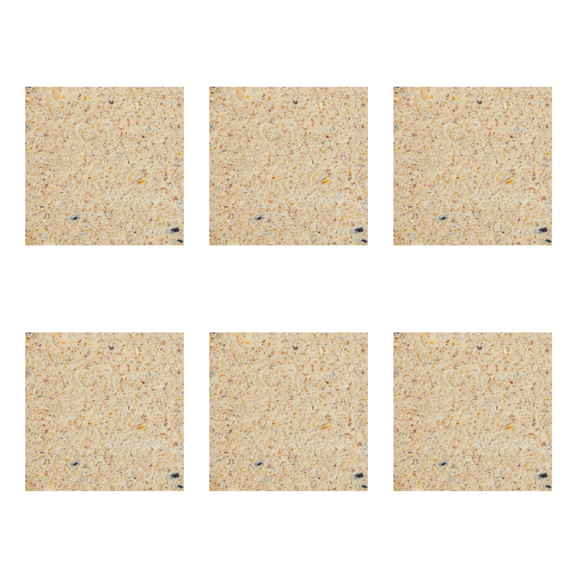 Garden Ting Peanut Suet Block Wild Bird Treat, 6 x 300g