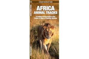 Africa Animal Tracks