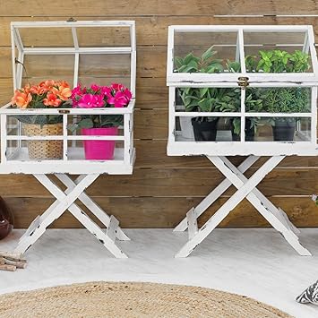 Amazon De Mini Gewachshaus Aus Holz Und Glas