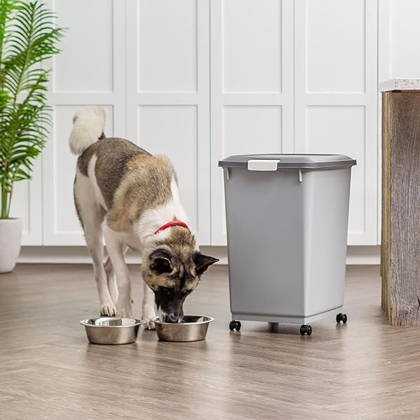 IRIS USA DOG FOOD STORAGE CONTAINER WITH WHEELS, AIRTIGHT LID, 2-CUP SCOOP, UP TO 54 POUNDS PET FOOD STORAGE, BUILT IN SCOOP STORAGE IN LID, VERSATILE PET FOOD BIN, PORTABLE, BPA FREE, GRAY/DARK GRAY
