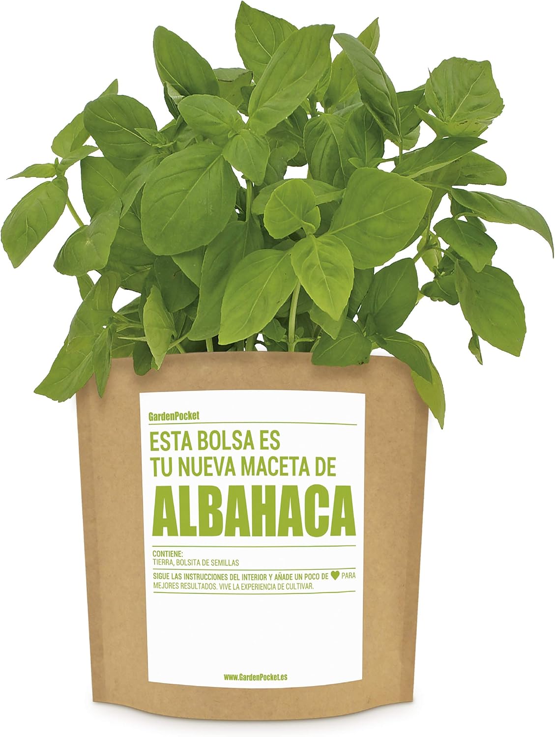 Garden Pocket - Kit de Cultivo de ALBAHACA - Bolsa Maceta: Amazon ...